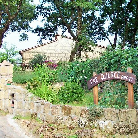 Appartamento Tre Querce Di Guerrini Patrizia Sorano  Buitenkant foto